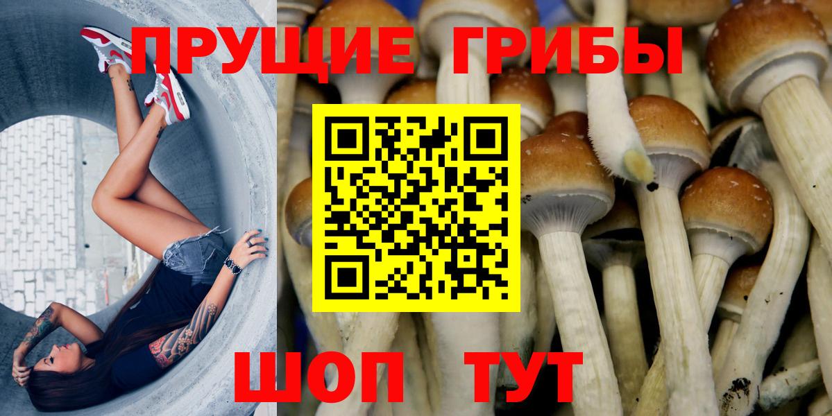 Урус-Мартан  Галлюциногенные грибы мицелий  Псилоцибиновые грибы Magic Shrooms  Вход с VPN 
